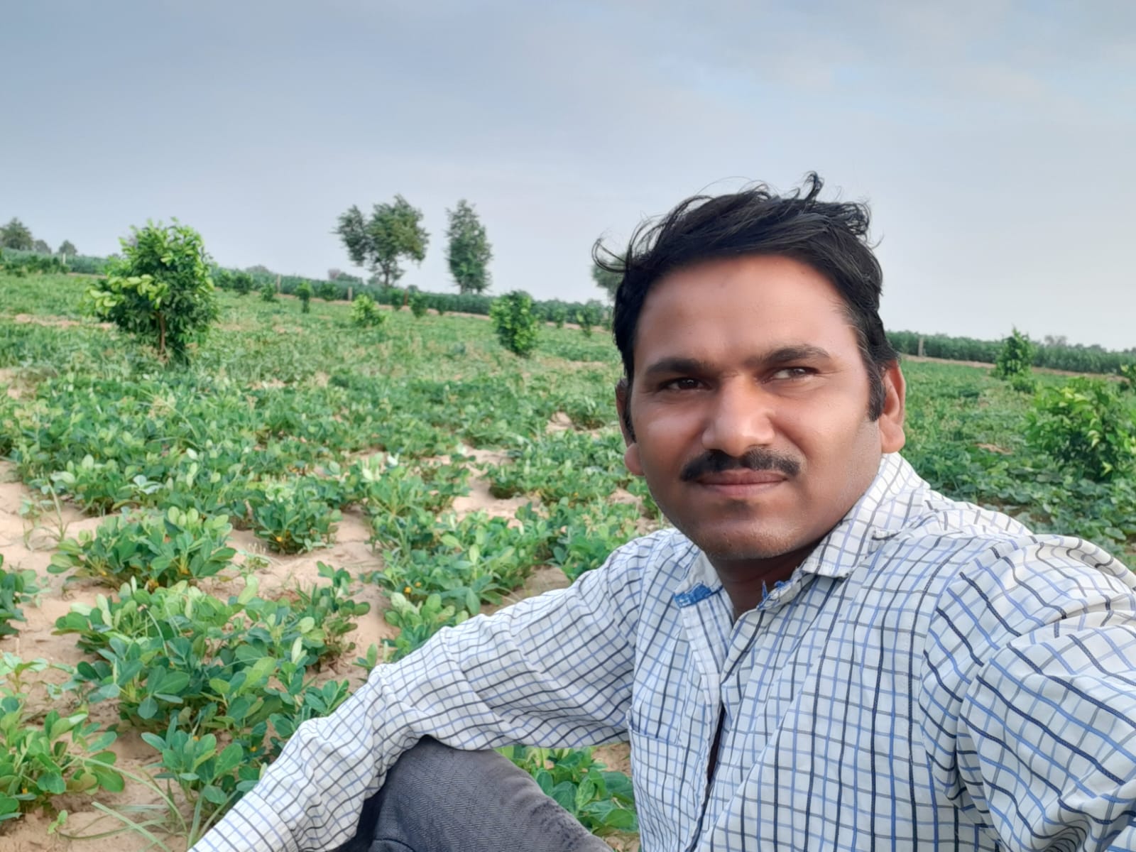 Bhanwar Lal Swami holding a harvested peanut plant